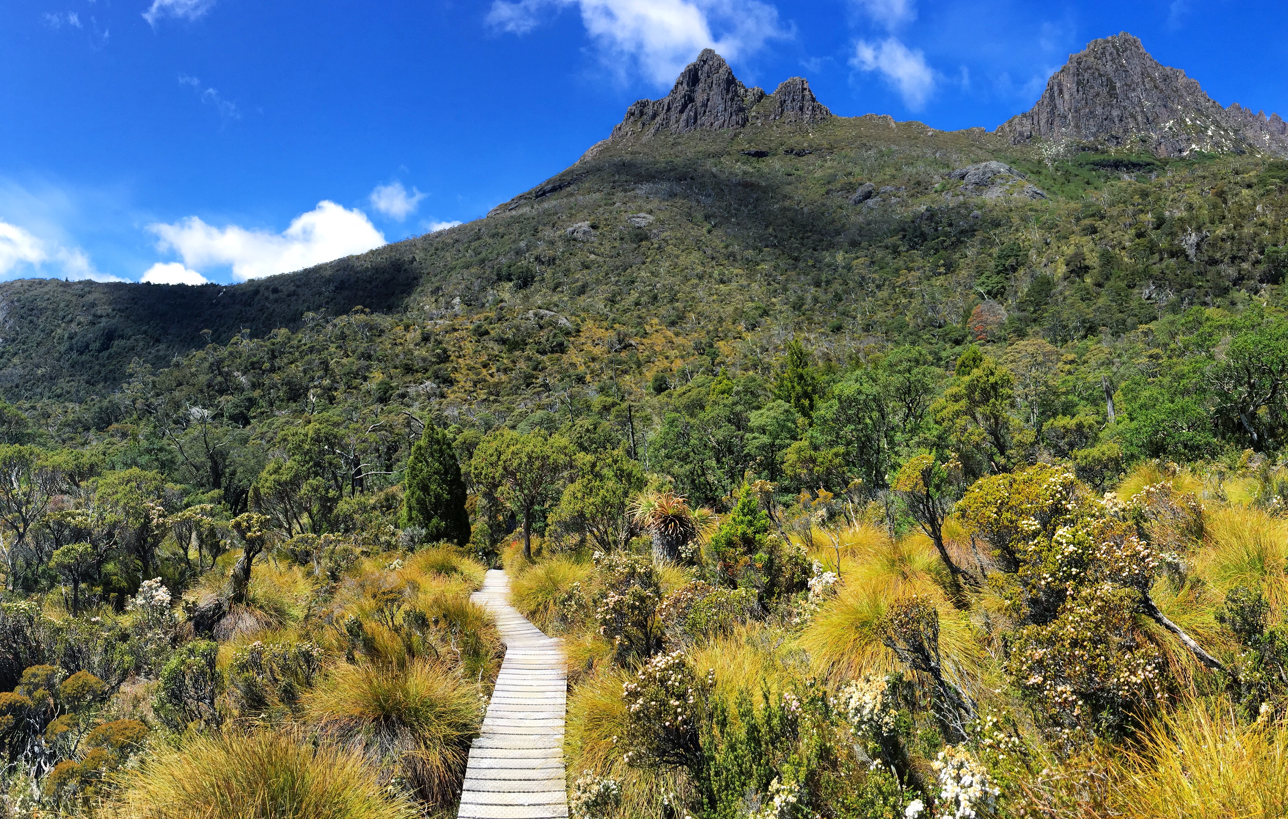 Cradle Mountain