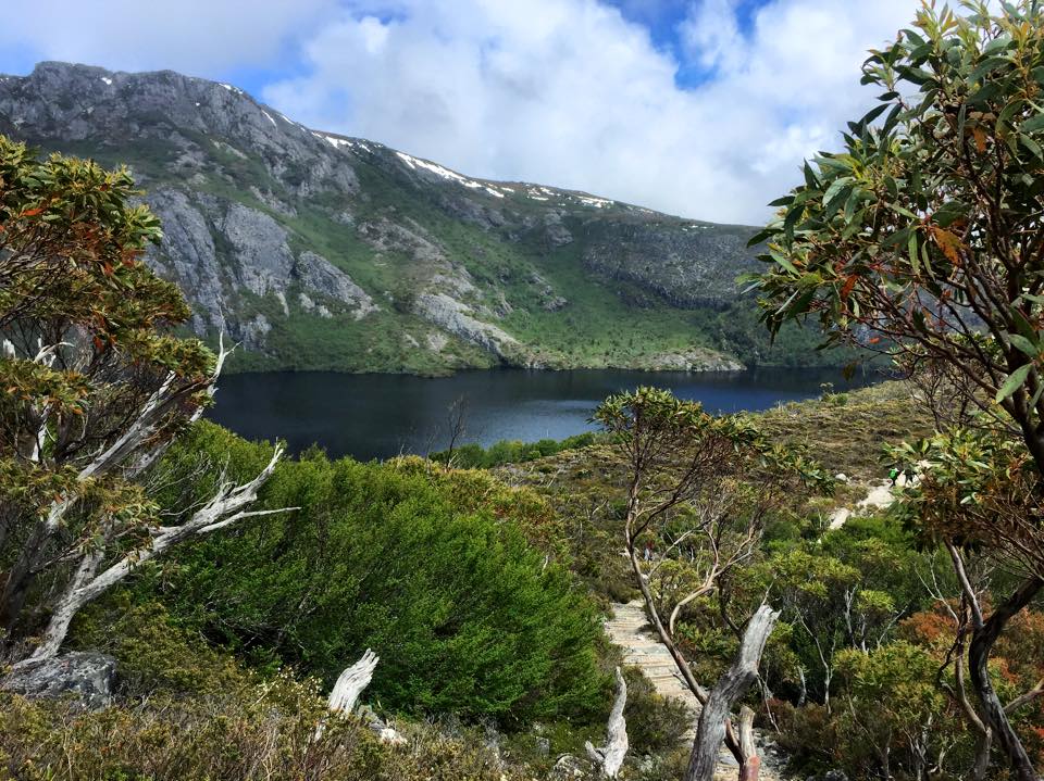 12274271_10153759795129104_4886200624793393041_n