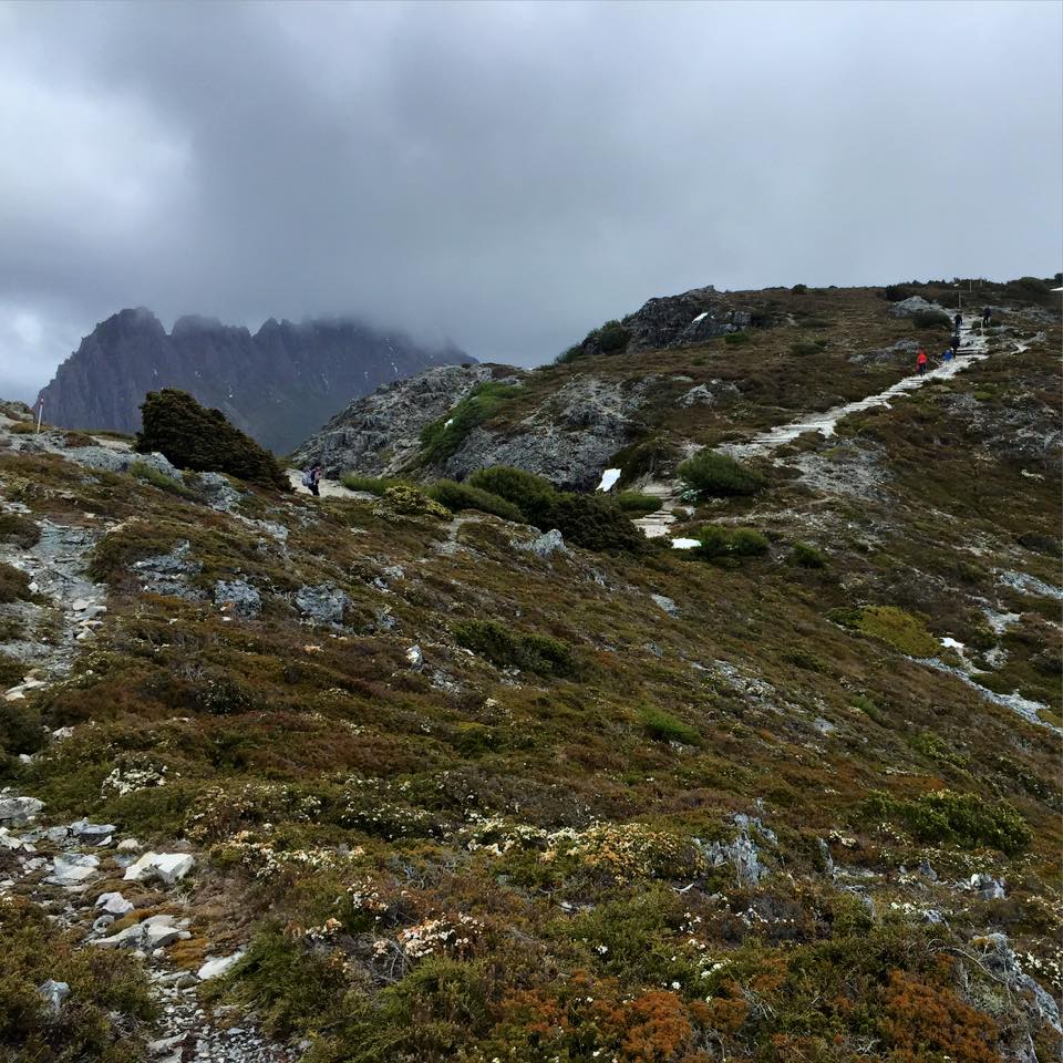 12313514_10153759795364104_7244875779962420610_n