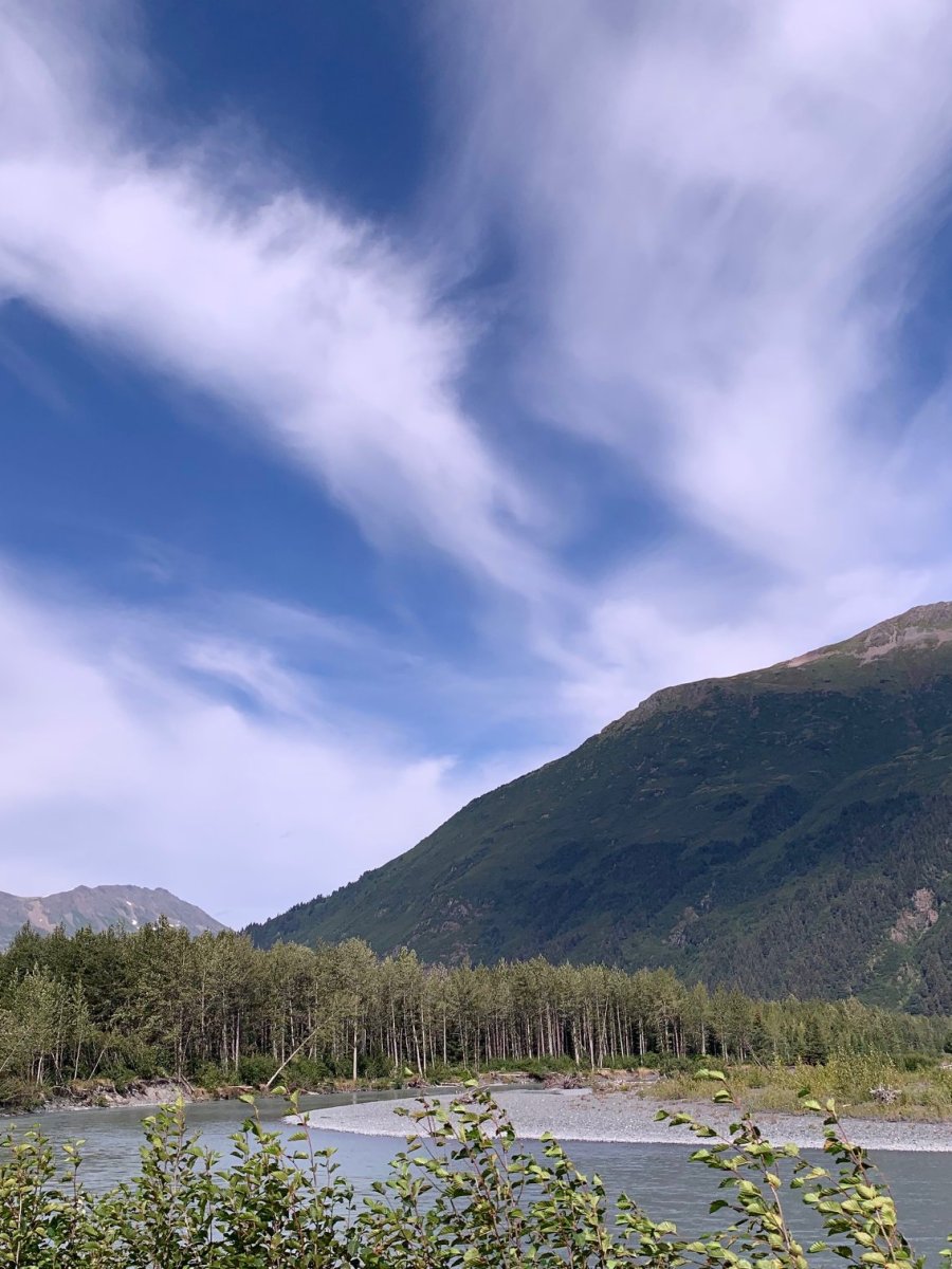 Anchorage in the&nbsp;summer