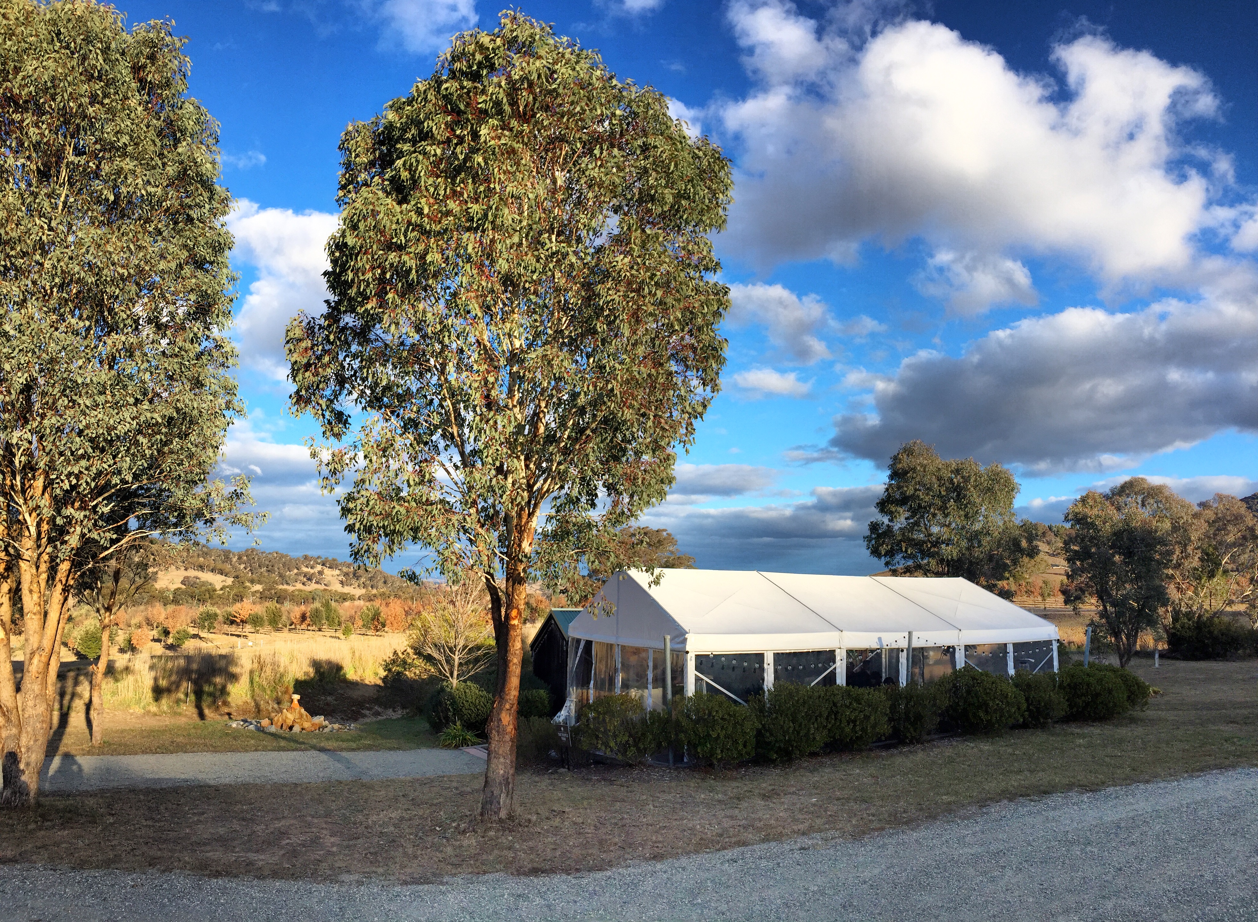 Truffle Season in Canberra