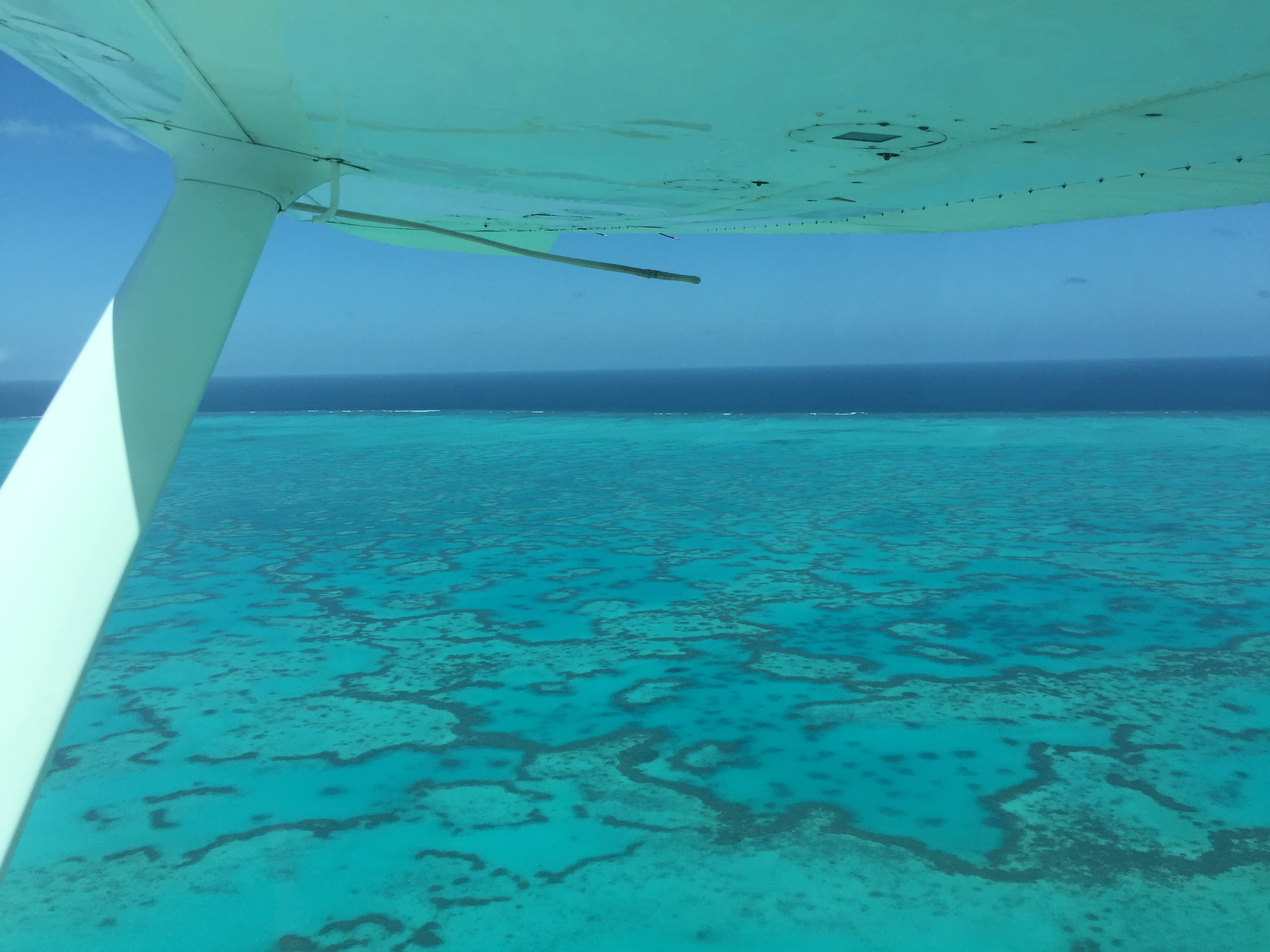 Heron Island; The Great Barrier Reef