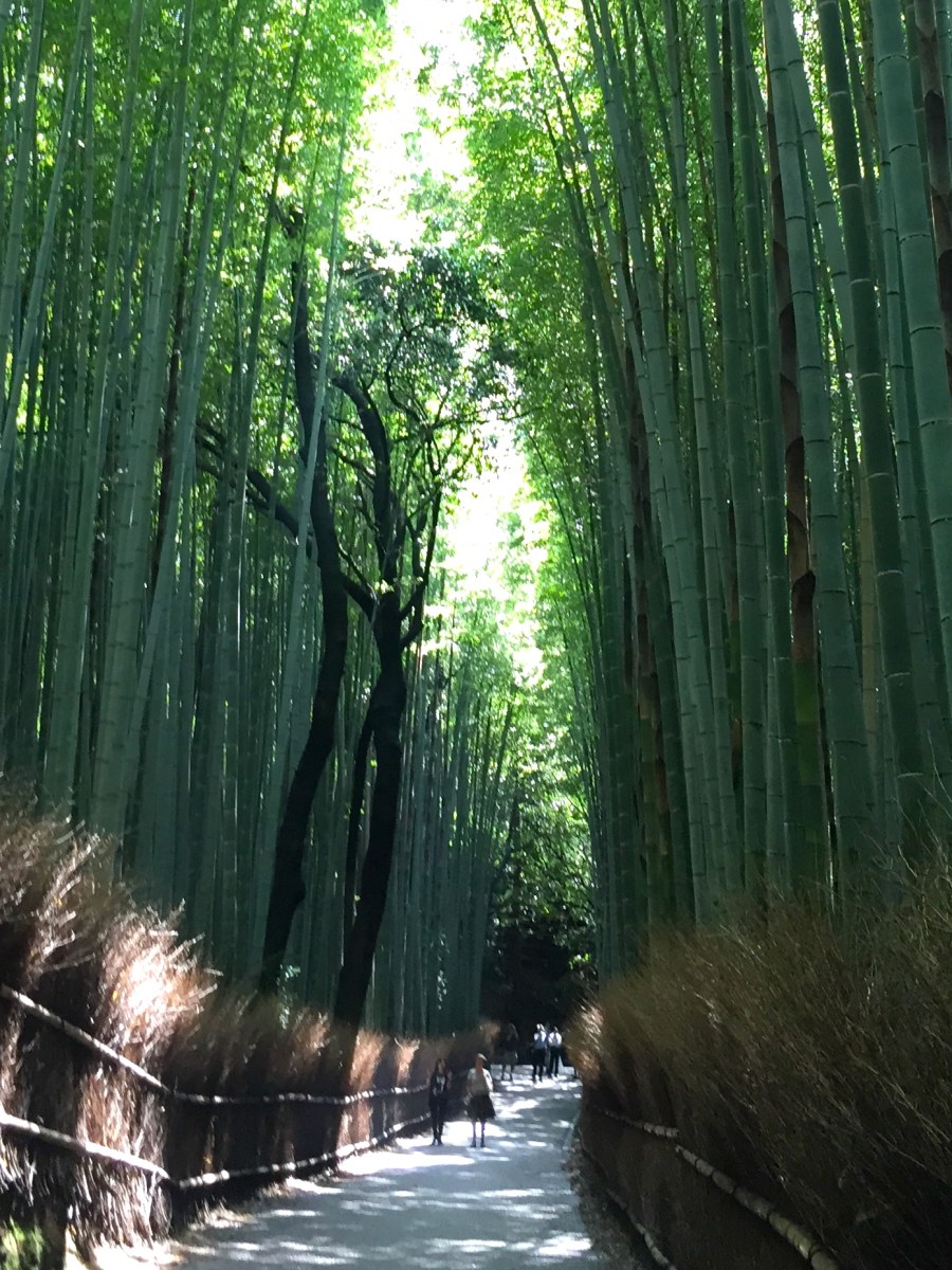 Arashiyama & Kyoto