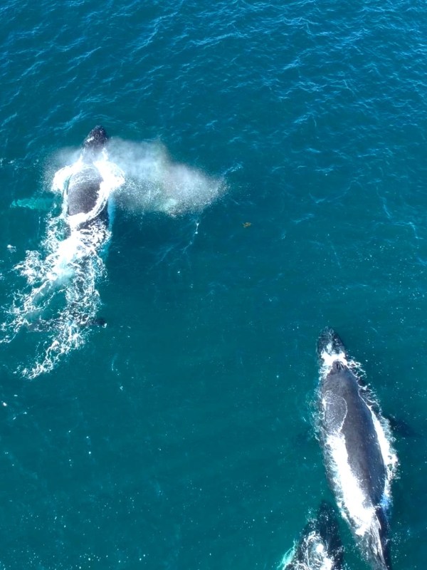 Mollymook, NSW South&nbsp;Coast